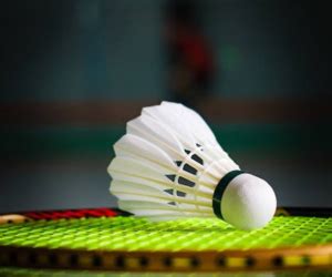 Ultimate Guide to Betting on Badminton .